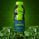 CamelliaTeaProject-20